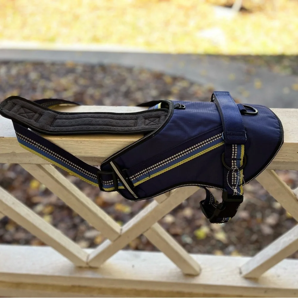 Head brand Blue Dog harness